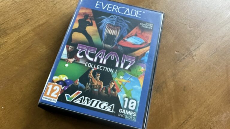 Collection Evercade Team17 1 Avis