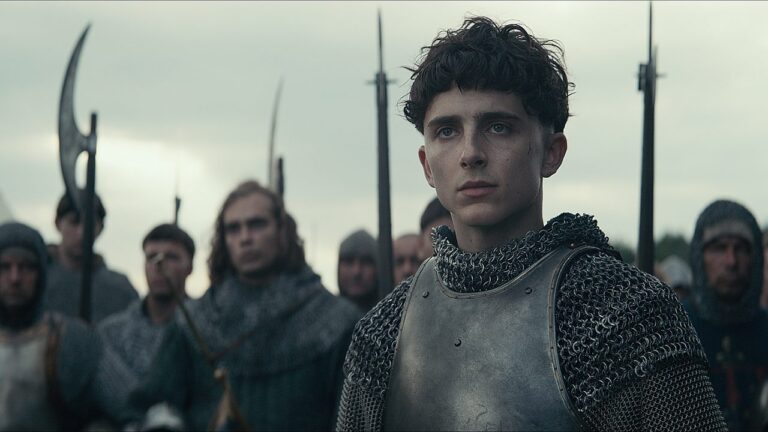 Le top 5 des meilleurs films avec Timothée Chalamet
