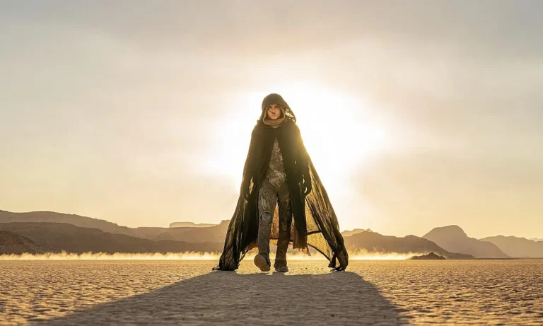Le film majeur avec Timothée Chalamet désormais disponible sur HBO Max