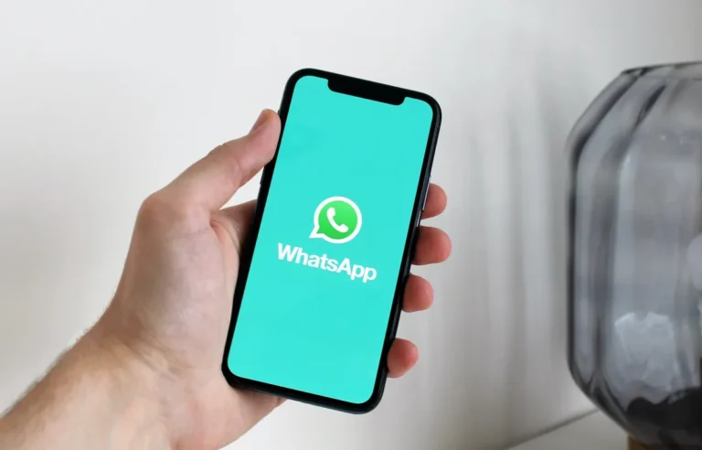 « WhatsApp aura bientôt des thèmes »