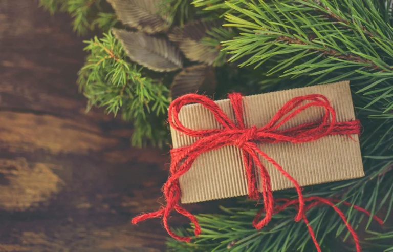 Faites plaisir à tout le monde avec ces belles idées cadeaux pour Noël