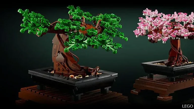 C'est le package LEGO le plus populaire en ce moment