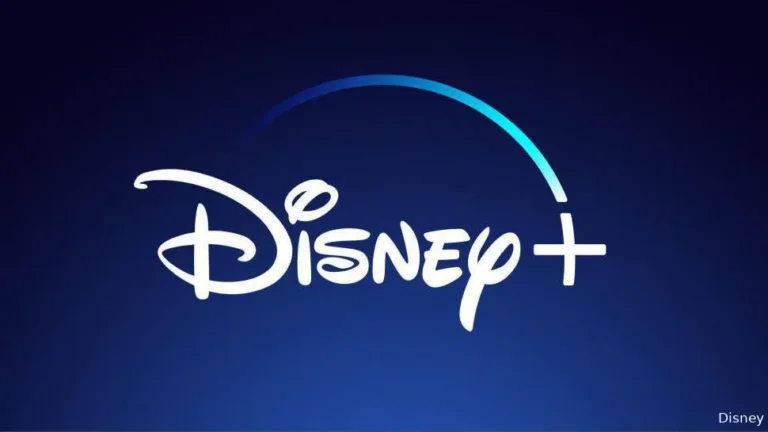 Les conséquences des mesures de partage de comptes Disney+ se font désormais sentir aux Pays-Bas