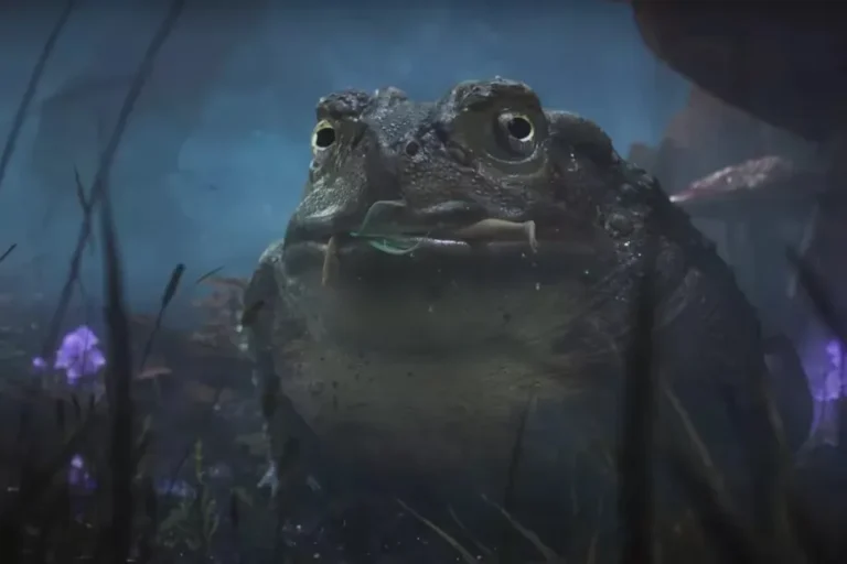 'Fable 2 reporté en raison de sa sortie sur PlayStation 5'