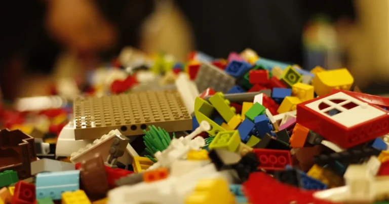 Lego Figure a marqué l'anniversaire d'une femme parlementaire