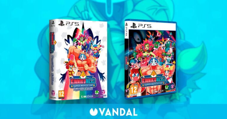 Les plates-formes d'action avec un chat bodybuildiste, Kinnikuneko: Super Muscle Cat, aura une édition physique en PS5