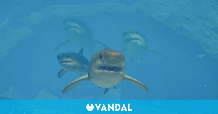 C'est la bête marine la plus redoutée et vient d'être confirmée: le Megalodon sera dans Jurassic World Evolution 3