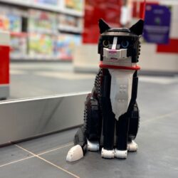 le secret des magasins LEGO