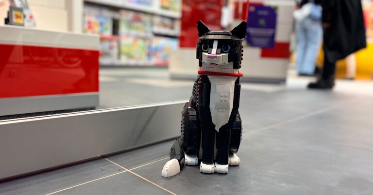 le secret des magasins LEGO