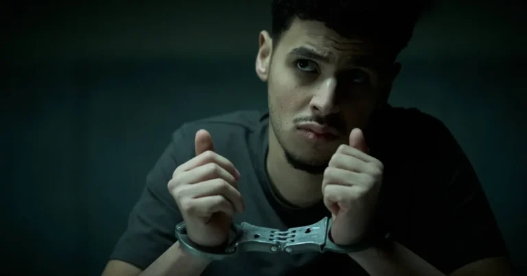 Le film néerlandais Revenge est-il cool ?