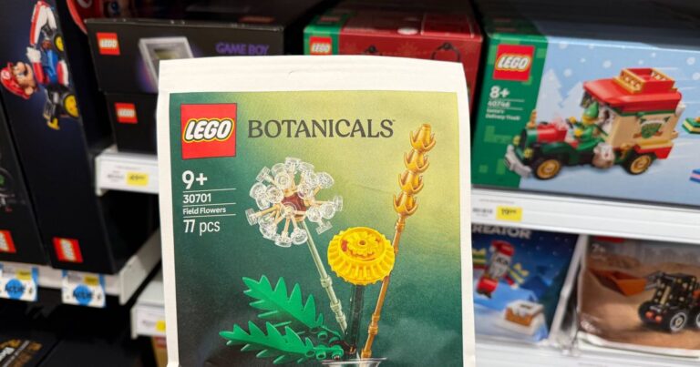 Les Polybags LEGO sont idéaux pour mettre dans la chaussure avec Sinterklaas