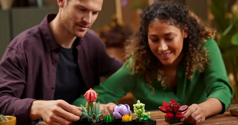 Ici, vous payez le prix le plus bas pour l’ensemble de décoration de maison LEGO Botanicals Succulents