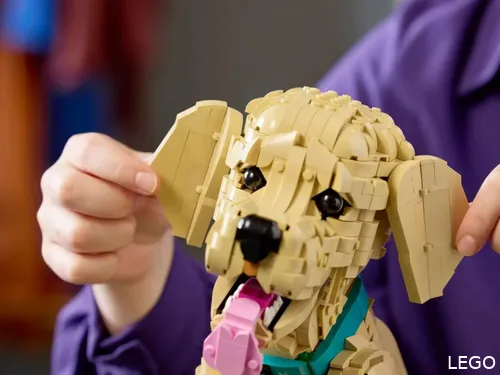 LEGO ICONS Chiot Golden Retriever 11384 (1)