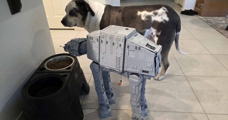 Cet ensemble LEGO a presque la taille d'un chien