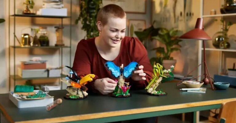 Cet ensemble LEGO ne sera plus jamais fabriqué et est maintenant sympa et bon marché