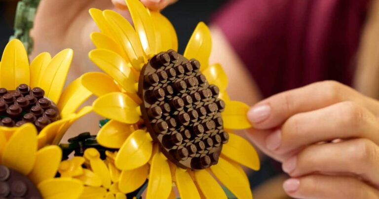 LEGO sortira en mars 2 ensembles Botanicals saisissants, parfaits pour le printemps