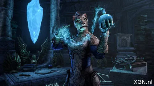 système de traçage en ligne The Elder Scrolls