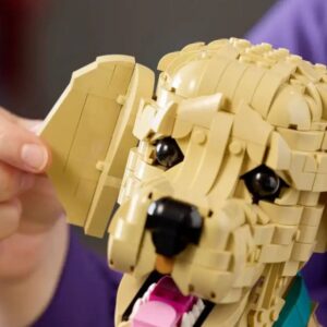 LEGO Icons 11384 Le chiot Golden Retriever a 2 œufs de Pâques sympas