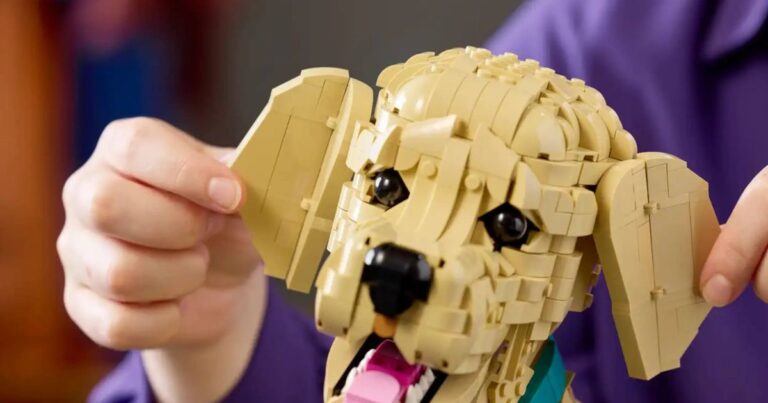 Le nouvel ensemble LEGO contient quelque chose qui manquera à beaucoup de gens