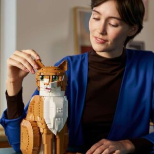 Précommandez dès maintenant ce joli set LEGO Ideas