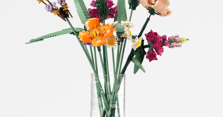 LEGO est livré avec 2 vases pour LEGO Botanicals : c'est ce que vous voulez voir