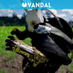 Crimson Desert cache une référence à Assassin's Creed sous la forme d'une lame cachée