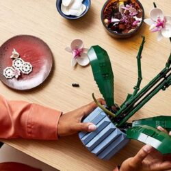 Ces 10 sets LEGO Botanicals sont désormais les plus populaires