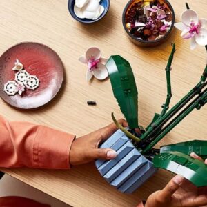 Ces 10 sets LEGO Botanicals sont désormais les plus populaires