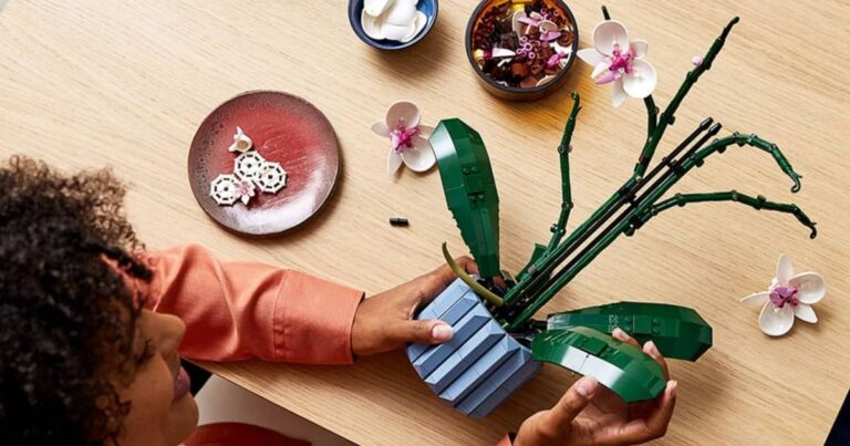 Ces 10 sets LEGO Botanicals sont désormais les plus populaires