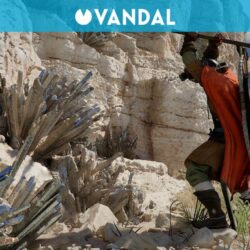 Crimson Desert aura un mécanisme d'extraction, mais ce n'est pas ce qu'il semble