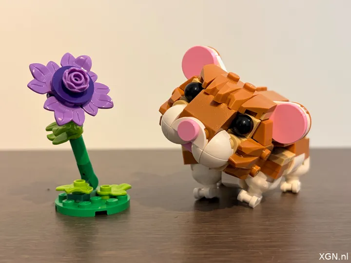 Hamster créateur de Lego