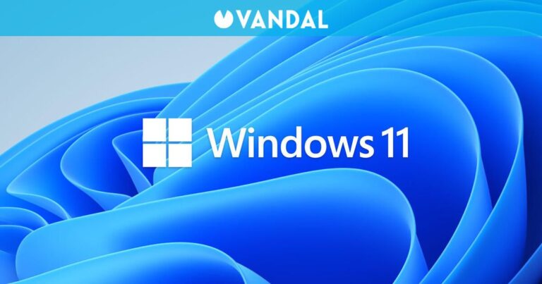 Malgré les critiques, Windows 11 se développe parmi les acteurs Steam tandis que Linux perd un peu de son élan