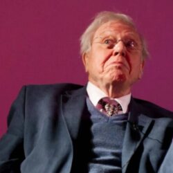 Trop vieux pour LEGO ? Sir David Attenborough, 100 ans, est finalement autorisé à continuer de construire