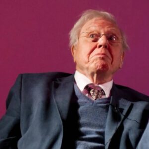 Trop vieux pour LEGO ? Sir David Attenborough, 100 ans, est finalement autorisé à continuer de construire