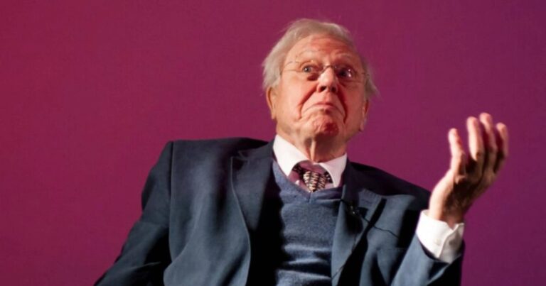 Trop vieux pour LEGO ? Sir David Attenborough, 100 ans, est finalement autorisé à continuer de construire