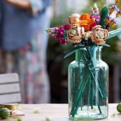 Ce tout premier set LEGO Botanicals disparaîtra à jamais des magasins