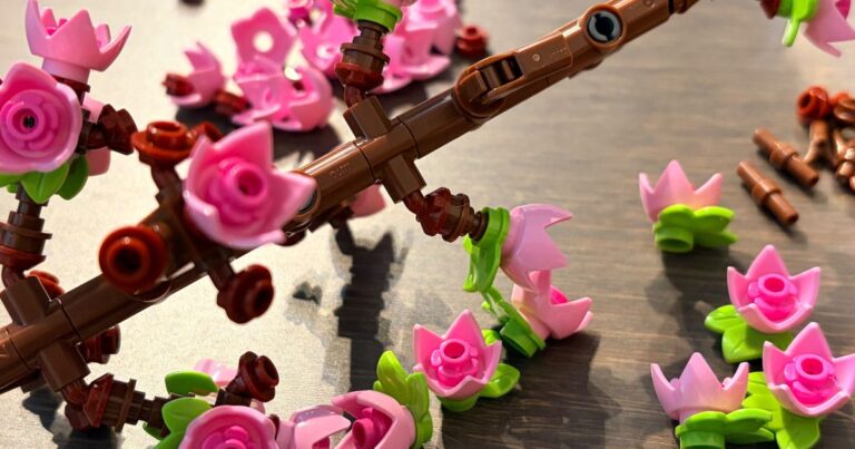 LEGO Botanicals 40725 Cherry Blossoms Review – composition florale avec LEGO