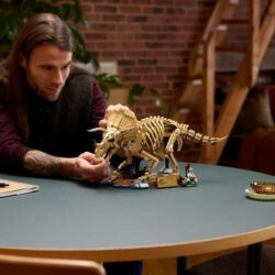 Voici comment obtenir les fossiles de dinosaures LEGO : Triceratops au prix le plus bas jamais vu
