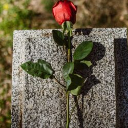 Hommage au fan LEGO décédé : canapé LEGO grandeur nature