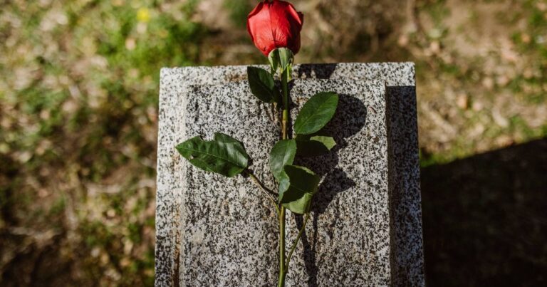 Hommage au fan LEGO décédé : canapé LEGO grandeur nature