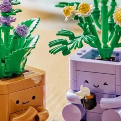 Deux nouveaux pots de plantes LEGO discutent agréablement