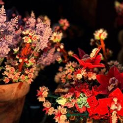 LEGO proposerait immédiatement une mer de fleurs botaniques l'année prochaine