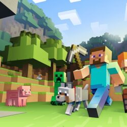 Minecraft portait autrefois un nom complètement différent et presque personne ne connaît ce nom