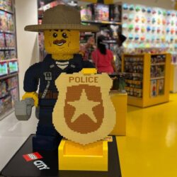 LEGO refuse de fabriquer ces ensembles populaires et il y a une raison frappante derrière cela